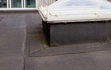 disadvantages of Daniels Water flat roofs