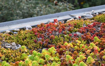 the cost of Daniels Water green roof installation