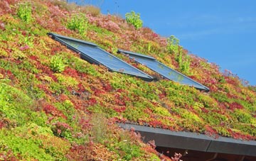 Daniels Water living roof systems