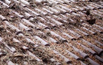 Daniels Water roof cleaning companies