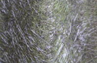 Daniels Water fibreglass roof work