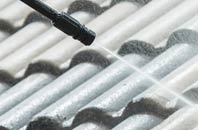 rated Daniels Water roof cleaning companies